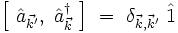  \left[ \  \hat{a}_{\vec{k'}}, \ \hat{a}_{\vec{k}}ˆ{\dagger} \ \right] \ = \ \delta_{\vec{k}, \vec{k}'} \ \hat{1}