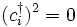  (cˆ\dagger_i)ˆ2=0