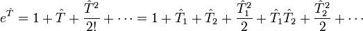  eˆ{\hat{T}} = 1 + \hat{T} + \frac{\hat{T}ˆ2}{2!} + \cdots = 1 + \hat{T}_1 + \hat{T}_2 + \frac{\hat{T}_1ˆ2}{2} + \hat{T}_1\hat{T}_2 + \frac{\hat{T}_2ˆ2}{2} + \cdots 