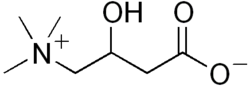 Structure de la carnitine