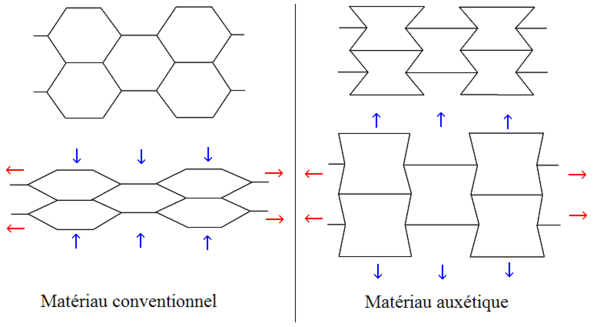 Illustration du comportement d'un matériau auxétique