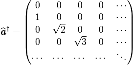 \widehat{\textbf{\textit{a}}}ˆ{\dagger}= \begin{pmatrix} 0 & 0 & 0 & 0 & \cdots \\ 1 & 0 & 0 & 0 & \cdots \\ 0 & \sqrt{2} & 0 & 0 &\cdots \\ 0 & 0 & \sqrt{3} & 0 & \cdots \\ \cdots & \cdots & \cdots & \cdots &\ddots \end{pmatrix}