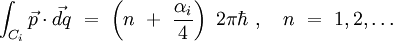 \int_{C_i} \vec{p} \cdot \vec{dq} \ = \ \left( n \ + \ \frac{\alpha_i}{4} \right) \ 2 \pi \hbar \ , \quad n \ = \ 1, 2, \dots
