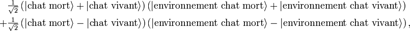 \begin{align} & \tfrac 1{\sqrt 2} \left( |\text{chat mort}\rangle + |\text{chat vivant}\rangle \right)\left( |\text{environnement chat mort}\rangle + |\text{environnement chat vivant}\rangle \right) \\
+ & \textstyle \tfrac 1{\sqrt 2} \left( |\text{chat mort}\rangle - |\text{chat vivant}\rangle \right)\left( |\text{environnement chat mort}\rangle - |\text{environnement chat vivant}\rangle \right), \end{align}