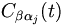 C_{\beta\alpha_j}(t)