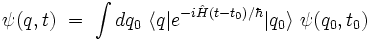  \psi(q,t) \ = \ \int dq_0 \ \langle q |eˆ{-i\hat{H} (t-t_0) /\hbar} |q_0 \rangle \  \psi(q_0,t_0) 