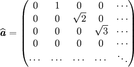 \widehat{\textbf{\textit{a}}}= \begin{pmatrix} 0 & 1 & 0 & 0 & \cdots \\ 0 & 0 & \sqrt{2} & 0 & \cdots \\ 0 & 0 & 0 & \sqrt{3} &\cdots \\ 0 & 0 & 0 & 0 & \cdots \\ \cdots & \cdots & \cdots & \cdots &\ddots \end{pmatrix}
